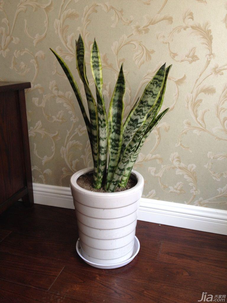 78平方两室一厅复古美式,20万装修3室两厅两卫美式