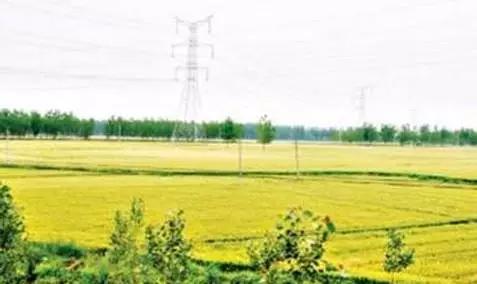 淮南信息发布平台,安徽网淮南官网最新消息