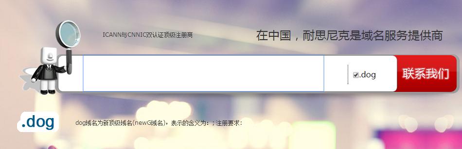 新顶级域名,域名知识顶级域名