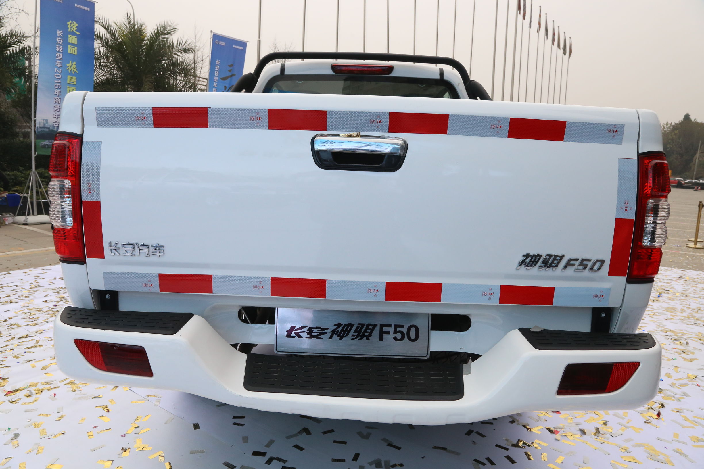 长安神骐最新款柴油版多少钱一辆,生了双胞胎儿子第一天