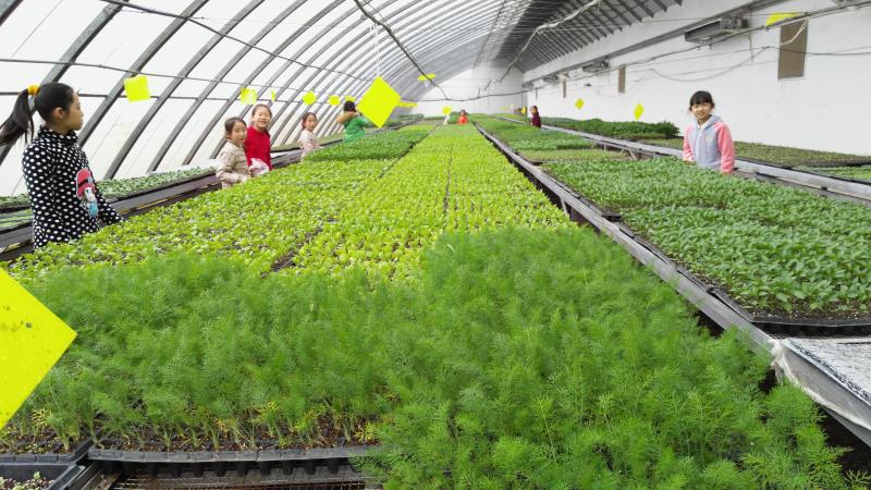 好吃又好玩，郑州5家特色农场带你过五一！