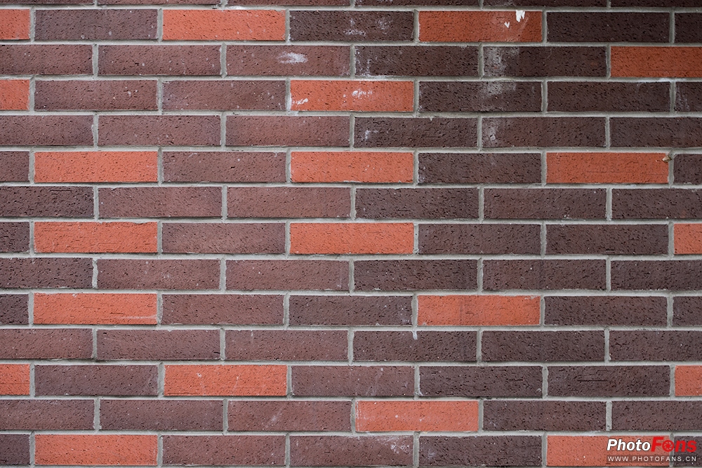 尼康180-400定焦镜头评测,尼康超长焦100-400和180-600