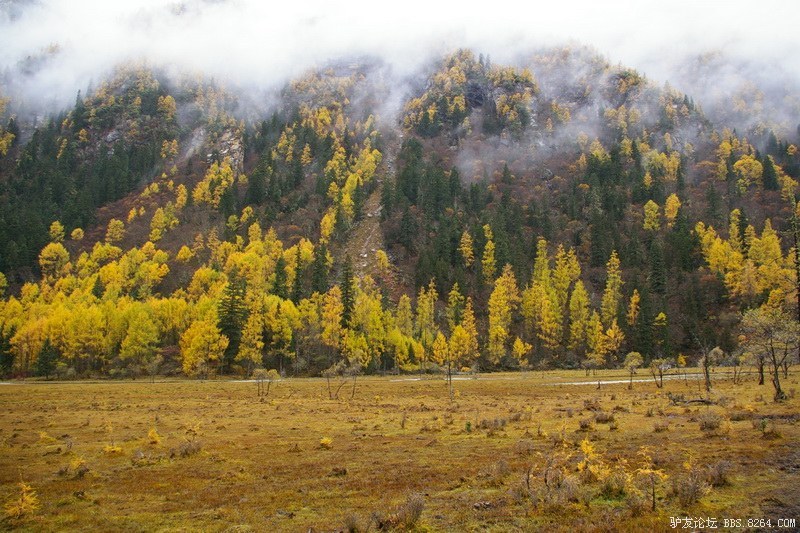 古道，细雨，暮雪-我的长坪沟半截秋色之旅