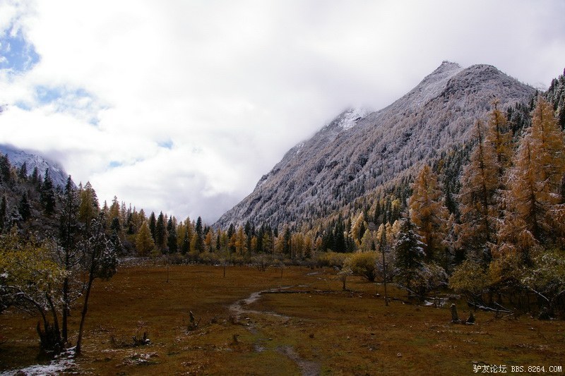 古道，细雨，暮雪-我的长坪沟半截秋色之旅