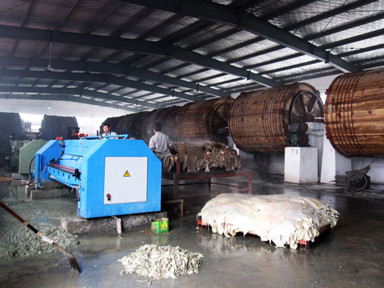 将国外医学奇迹带回国，他用共享养生让天下无医