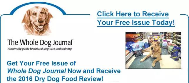 宠物必吃什么狗粮测评,好养的宠物吃什么狗粮最好