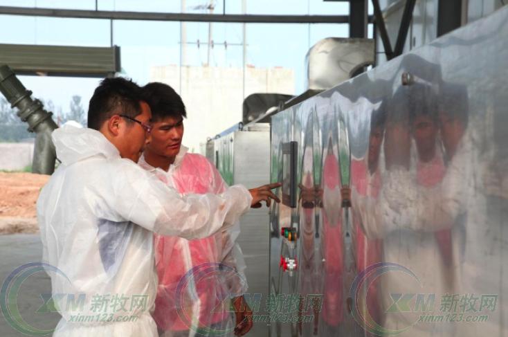 死猪集中冷藏无害化处理,死猪无害化处理厂日处理能力