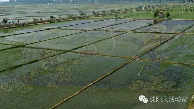 沈阳好玩的地方夏天推荐,沈阳夏天旅游推荐