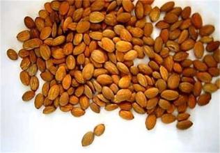 痛经血块多食疗,痛经有血块中药配方