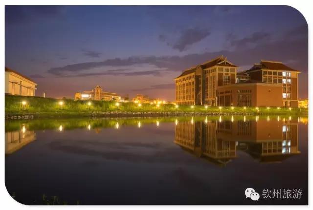 钦州学院,钦州学院2019