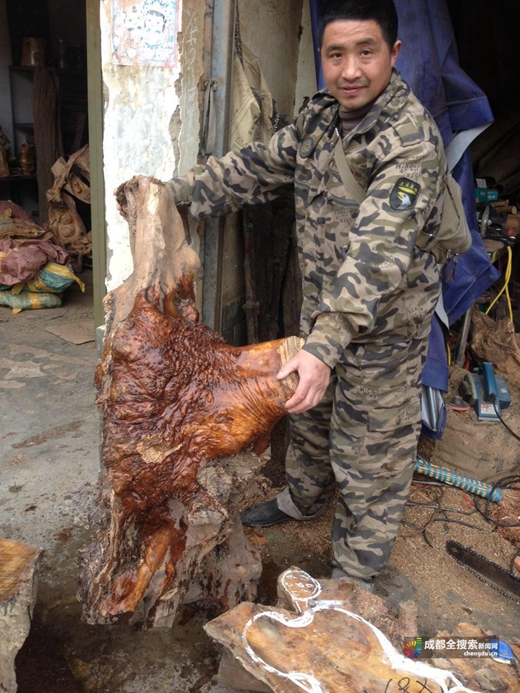 金丝楠木的销量,金丝楠木销量