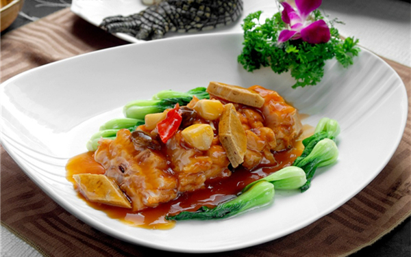 盘点鳄鱼的六大天敌都有哪个,盘点鳄鱼的十大天敌