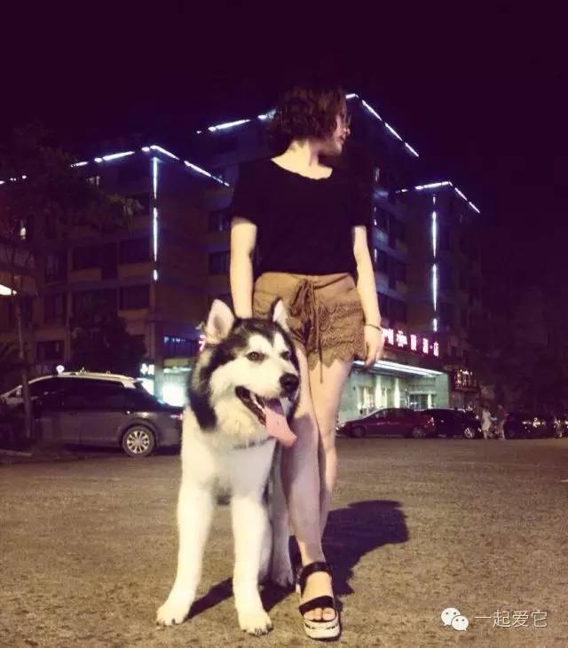 狗拉拉阿拉斯加,拉拉和阿拉斯加