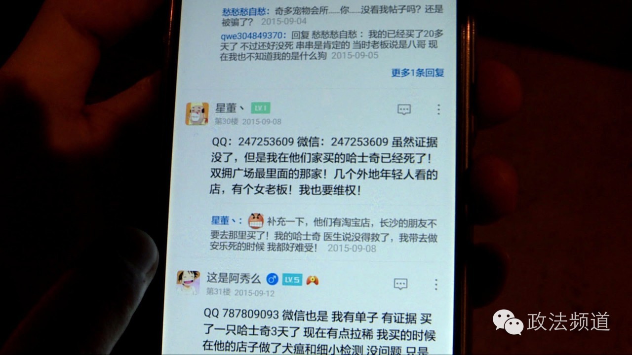 把狗买回家结果有病,购买宠物狗几天就死亡