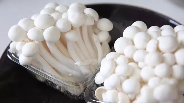 连云港特色辣卤海鲜,最好吃的海鲜辣卤