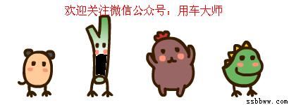 菲亚特致悦2014款拉花,致悦白色款改装