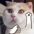 很火的动态小猫表情包,喵喵喵表情包动态
