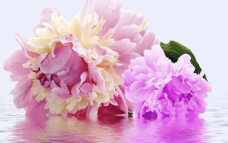 汉字的读音之美,汉字美的偏旁