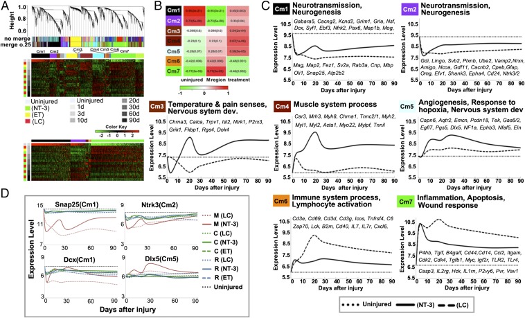神经再生研究新突破,神经再生研究成果视频
