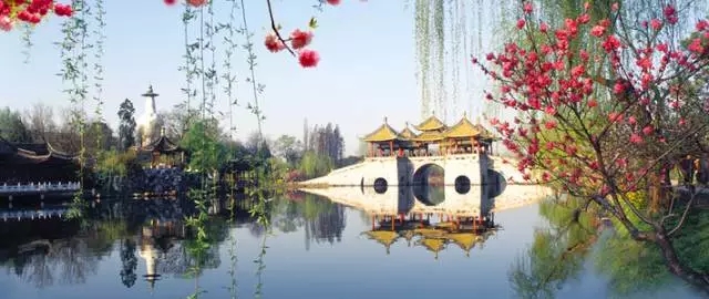 扬州特产方便携带的零食,扬州必买的十大特产零食