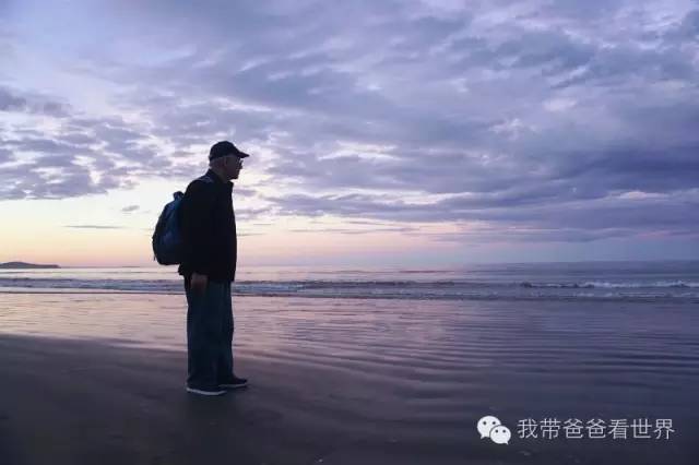 新西兰摩拉基大圆石的形成原因,新西兰圆石图片