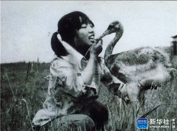 三代人与一群鹤的生死相守,一家人与一群鹤生活