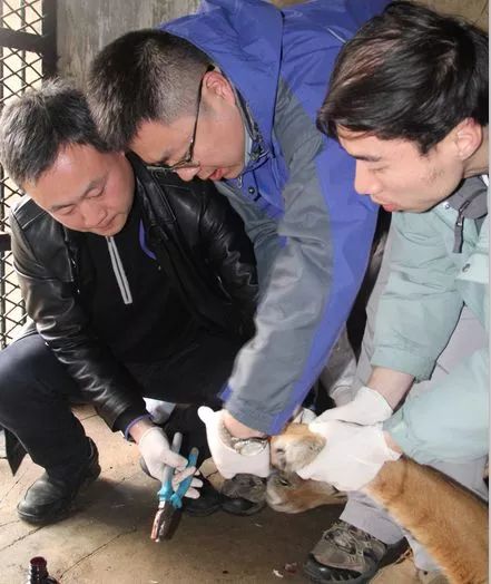 阿拉看环境｜还记得记忆中的西郊公园吗？