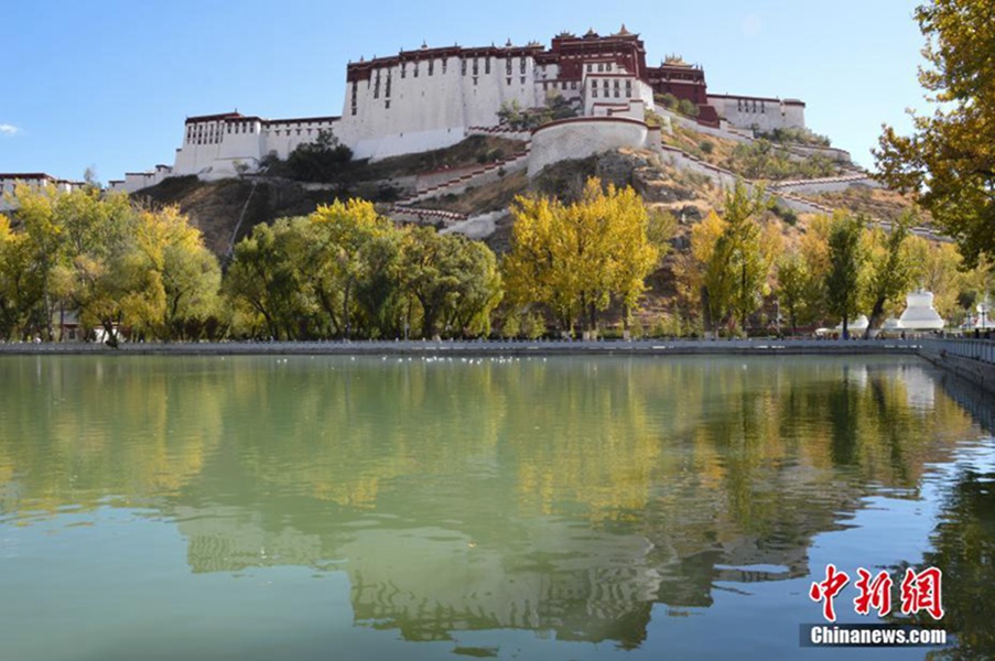 雪域高原风光秀丽视频,雪域高原的美丽风景