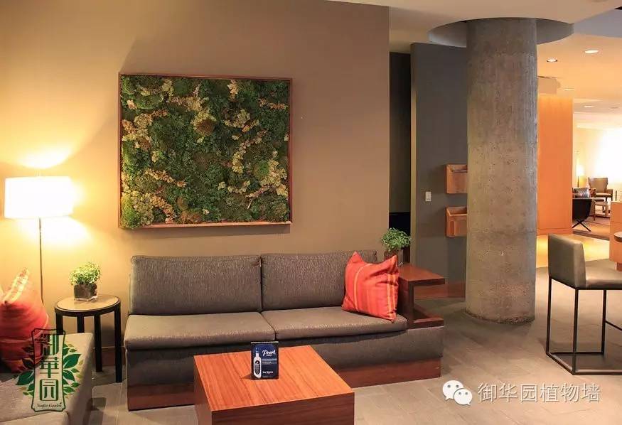 新鲜出炉┃十大唯美植物壁画排行榜,第一名竟然是......