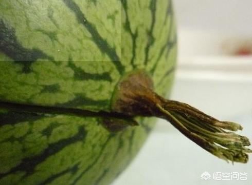 夏季吃瓜怎么挑,正确吃瓜指南教你怎么挑好瓜