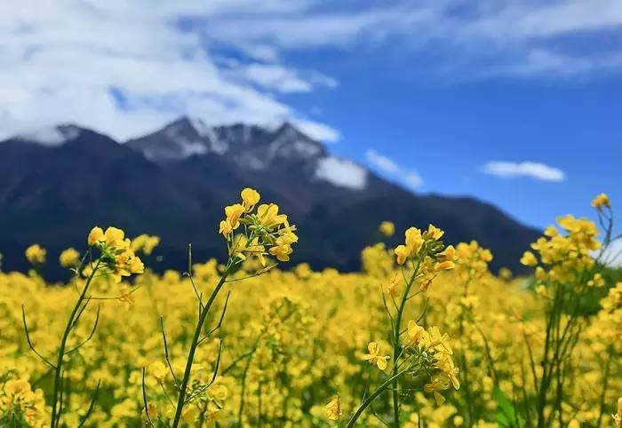 全国最美的六个地方,6月国内最美的10个地方