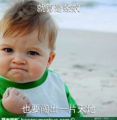 我们普通人的投资理性是最重要的 (人生必须掌握的投资知识)