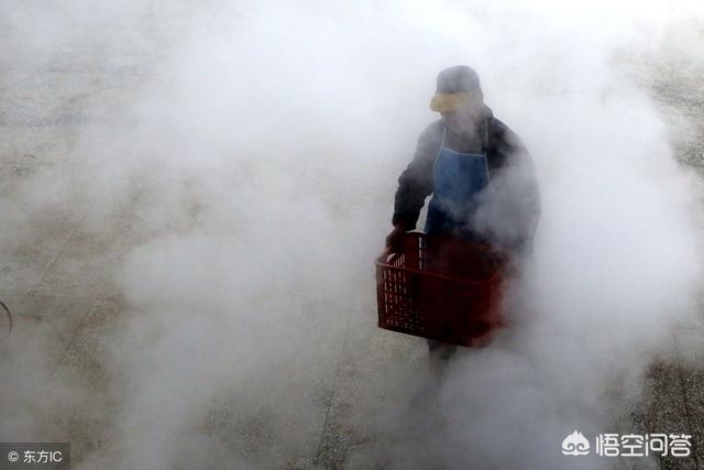真正的东北大酱做法,东北大酱最好吃的做法
