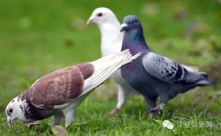 男子醒来躺在酒店,男子醉酒从酒店醒来逃跑