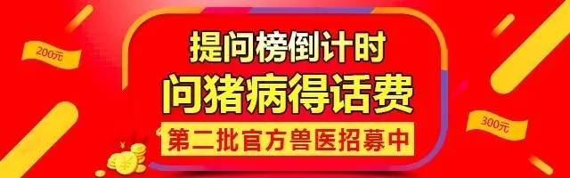 猪人工授精插管不到位,猪人工授精失败了