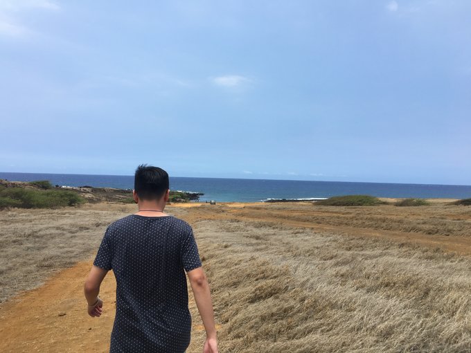 没有意外是哪句电影台词,夏威夷旅行说明