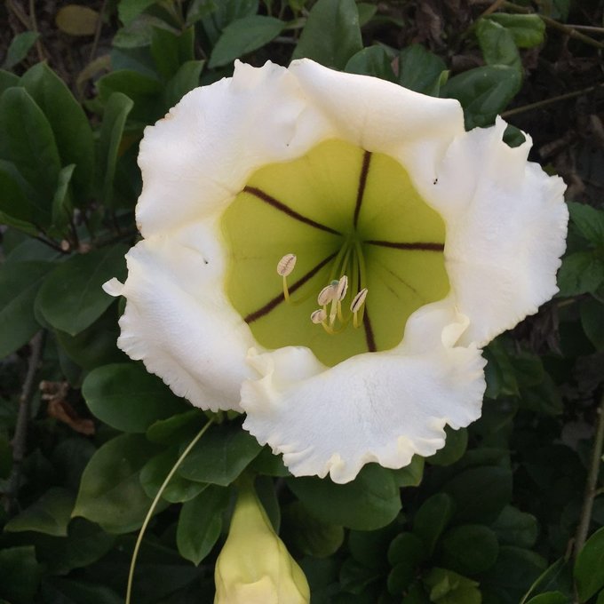 巴哈马旅游风景2020,巴哈马海滩旅游攻略