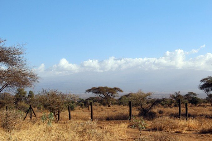 12天肯尼亚动物大迁徙自驾之旅,肯尼亚动物旅行