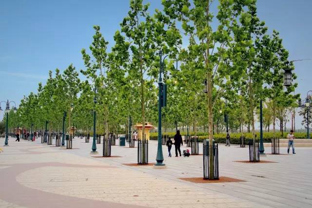 建迪士尼过程,迪士尼建造管理