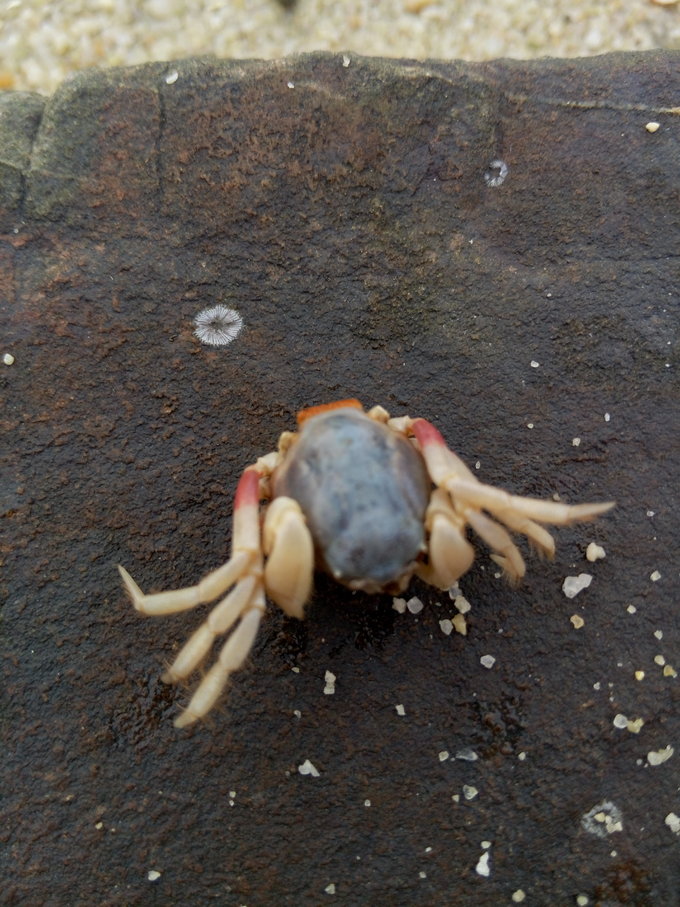 跟团从南宁到北海,越南北海跟团游