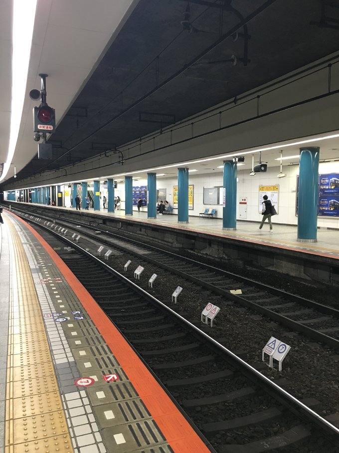 16年,关西(大阪,奈良,京都,宇治)樱花,甲子园