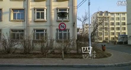 沈阳理工大学冬天时候美景,沈阳理工大学延迟开学