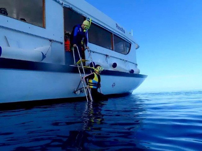 马尔代夫莉莉岛怎么玩,马尔代夫莉莉岛出海项目