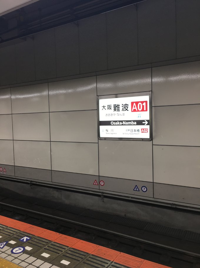 16年,关西(大阪,奈良,京都,宇治)樱花,甲子园