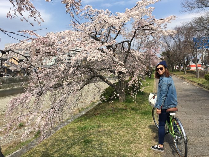 16年,关西(大阪,奈良,京都,宇治)樱花,甲子园