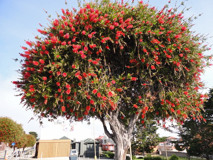 美国1号公路旅游视频,美国1号公路旅游线路