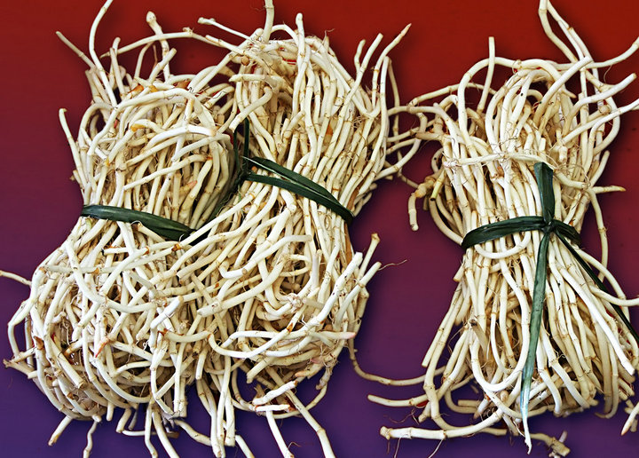 那些被我们随手扔掉的中药,那些被我们扔掉的中药