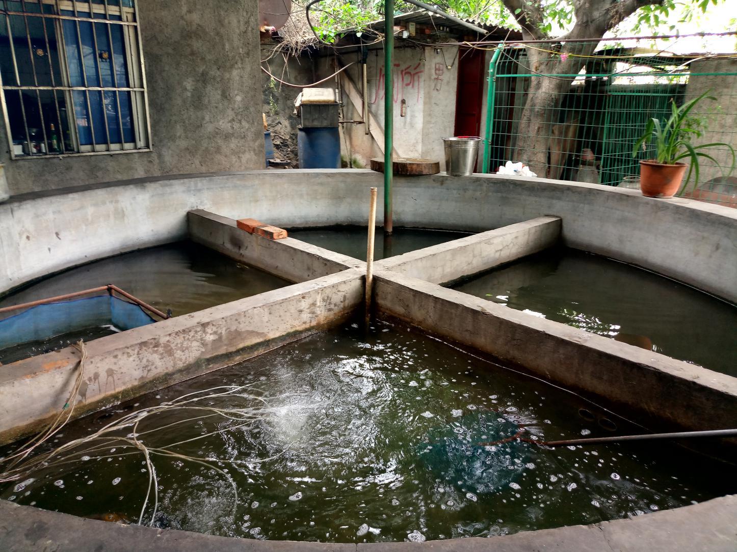 攀枝花料理,攀枝花最好吃的料理