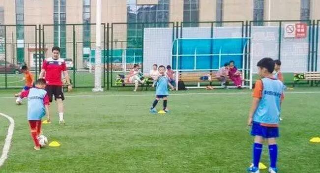 沈阳辽小虎足球青训,辽小虎足球俱乐部皇姑区