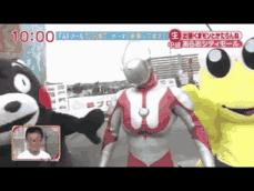 一只有钱的熊生赢家！